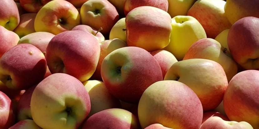 Obstbau